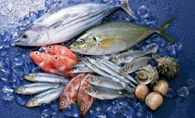 Cách chọn cá biển tươi ngon không bị hôi khai chất lượng an toàn