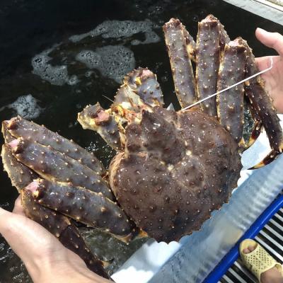 Cua Hoàng Đế Ngộp – Giá Bán Rẻ Hơn 50% Thị Trường Tại TPHCM