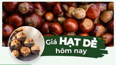 Giá hạt dẻ bao nhiêu 1kg? Cập nhật giá hạt dẻ mới nhất