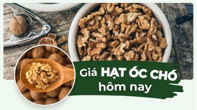 Giá hạt óc chó bao nhiêu 1kg? Cập nhật giá các loại hạt óc chó mới nhất
