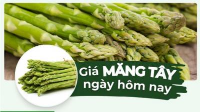 Giá măng tây hôm nay bao nhiêu 1kg? Cập nhật giá măng tây mới nhất