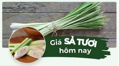 Giá sả tươi hôm nay bao nhiêu tiền 1kg? Cập nhật giá sả mới nhất