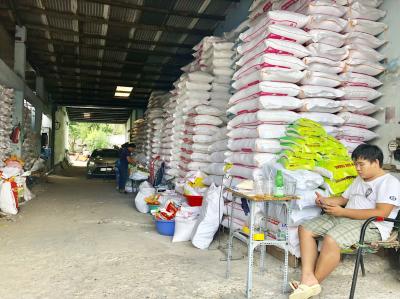 Giao Gạo Tận Nhà Quận Bình Tân Giá Tốt