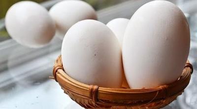 Mua trứng ngỗng ở đâu tphcm