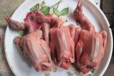 Những Lợi Ích Sức Khỏe Của Thịt Chim Bồ Câu