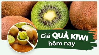 Quả kiwi bao nhiêu tiền 1kg? Giá kiwi vàng, kiwi xanh mới hôm nay