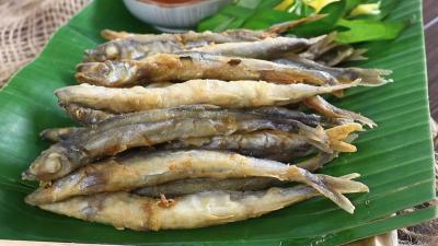 Top các món ngon từ cá trứng Nauy cho nhà hàng tại Bình Dương