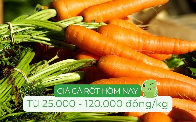 Giá cà rốt bán lẻ các loại trên thị trường