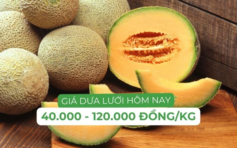 Dưa lưới tươi ngon, giá cả phải chăng, chỉ từ 40.000 - 120.000 đồng/kg