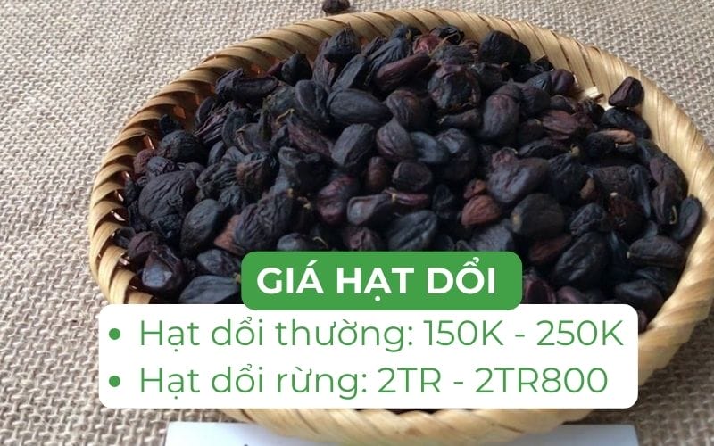 Giá hạt dổi dao động từ 150.000 - 2.800.000 đồng/kg