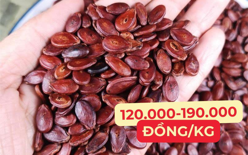 Giá hạt dưa dao động từ 120.000 đến 190.000 đồng/kg