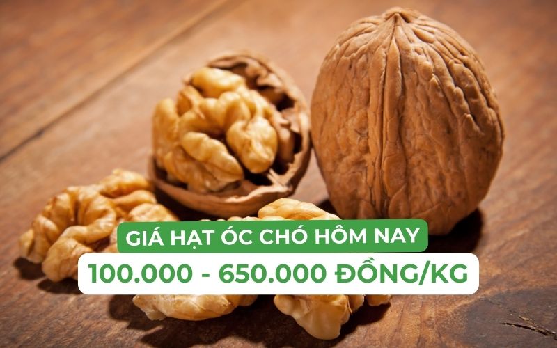 Giá hạt óc chó dao động từ 100.000 - 650.000 đồng/kg