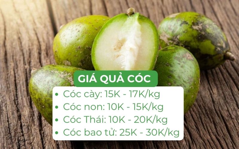 Giá cóc hôm nay dao động từ 10.000 - 30.000 đồng/kg