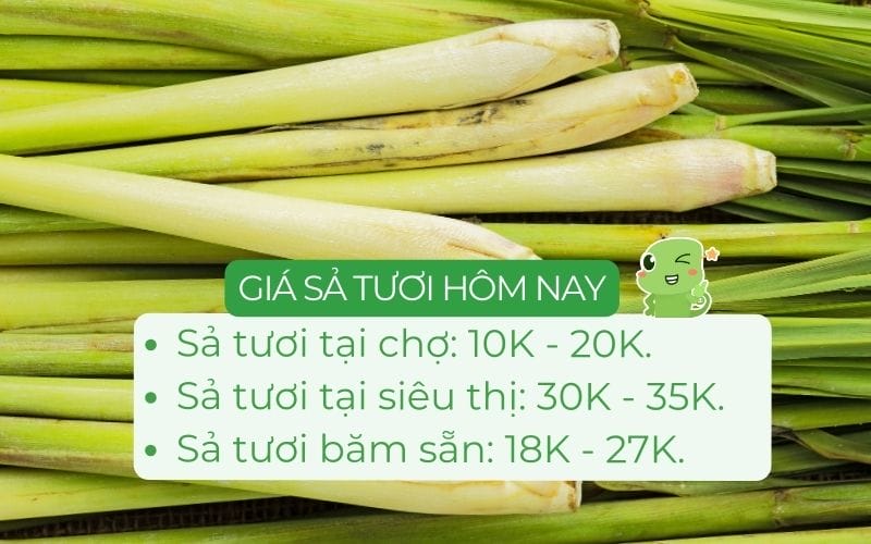 Giá sả tươi hiện dao động từ 10.000 - 35.000 đồng/kg, tuỳ nơi bán