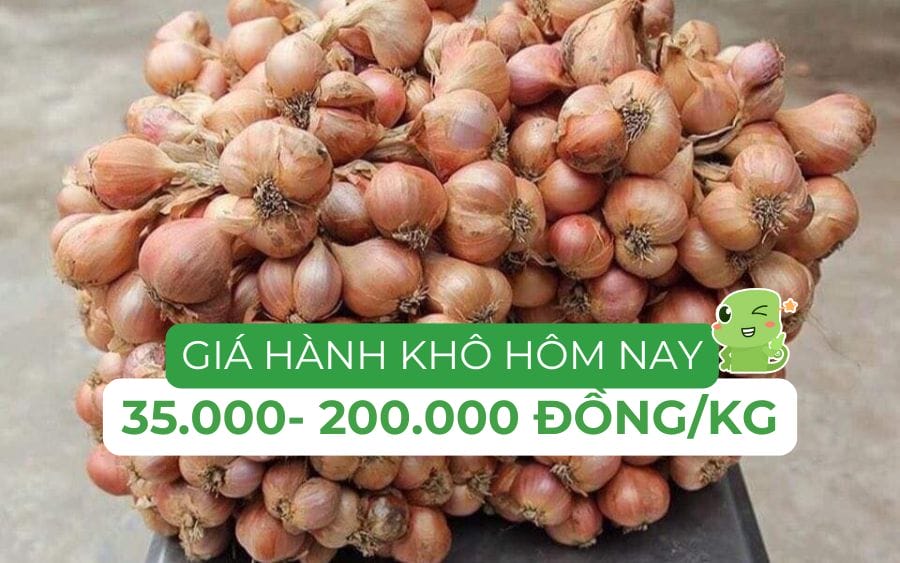 Mức giá hành khô dao động từ 35.000 - 200.000 đồng/kg