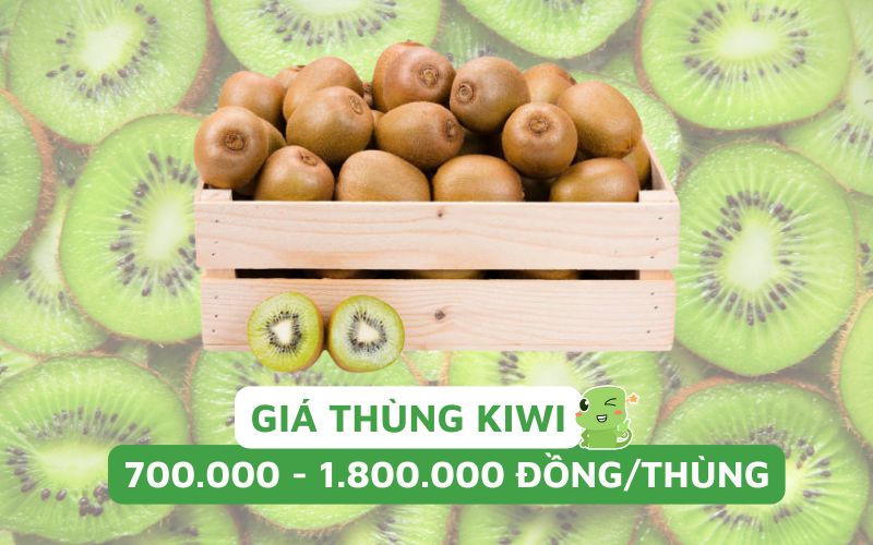 Bảng giá kiwi theo thùng cập nhật 2025 giá chỉ từ 720.000 đồng