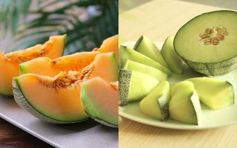 Dưa lưới vàng ngọt đậm đà, dưa lưới xanh thanh mát dịu nhẹ