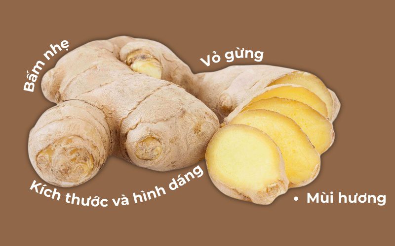 Mẹo chọn gừng tươi ngon, đảm bảo hương vị