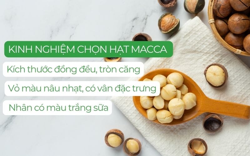 Hạt macca chất lượng có kích thước đồng đều, màu sắc tự nhiên, không mùi lạ, nhân thơm béo