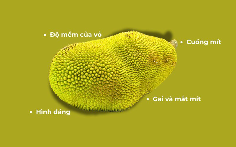 Mẹo giúp bạn chọn được quả mít chín tự nhiên, đảm bảo hương vị thơm ngon