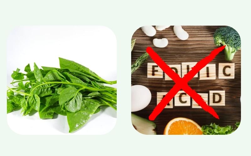 Mồng tơi kỵ với thực phẩm chứa axit như chanh, giấm, cam và quýt