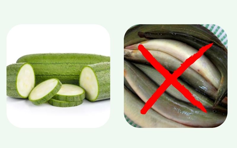 Mướp hương kỵ cá chạch