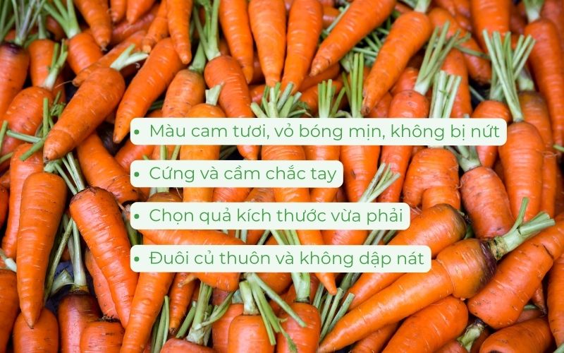 Bí quyết chọn cà rốt tươi ngon