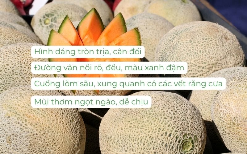 Dưa lưới ngon thường có hình dáng cân đối, vân lưới nổi, vỏ xanh tươi, cuống lõm sâu và hương thơm ngọt