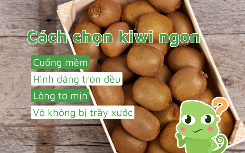 Kiwi ngon thường có cuống mềm, hình dáng tròn đều, lông tơ mịn và vỏ không bị trầy xước