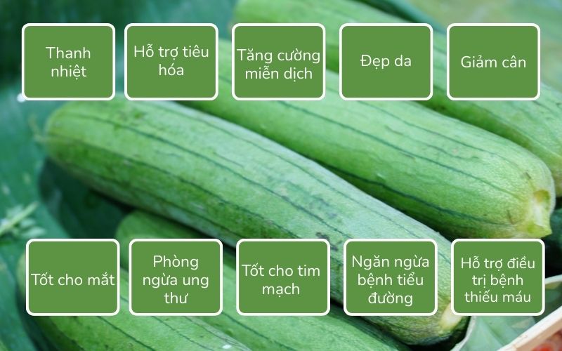 Tác dụng của mướp hương